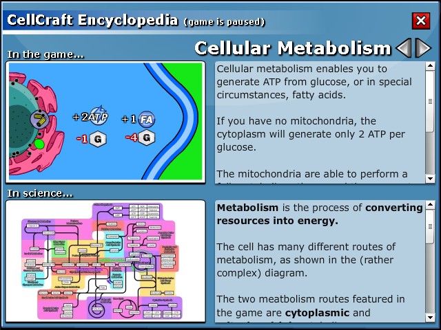 CellCraft - Cellular metabolism explained